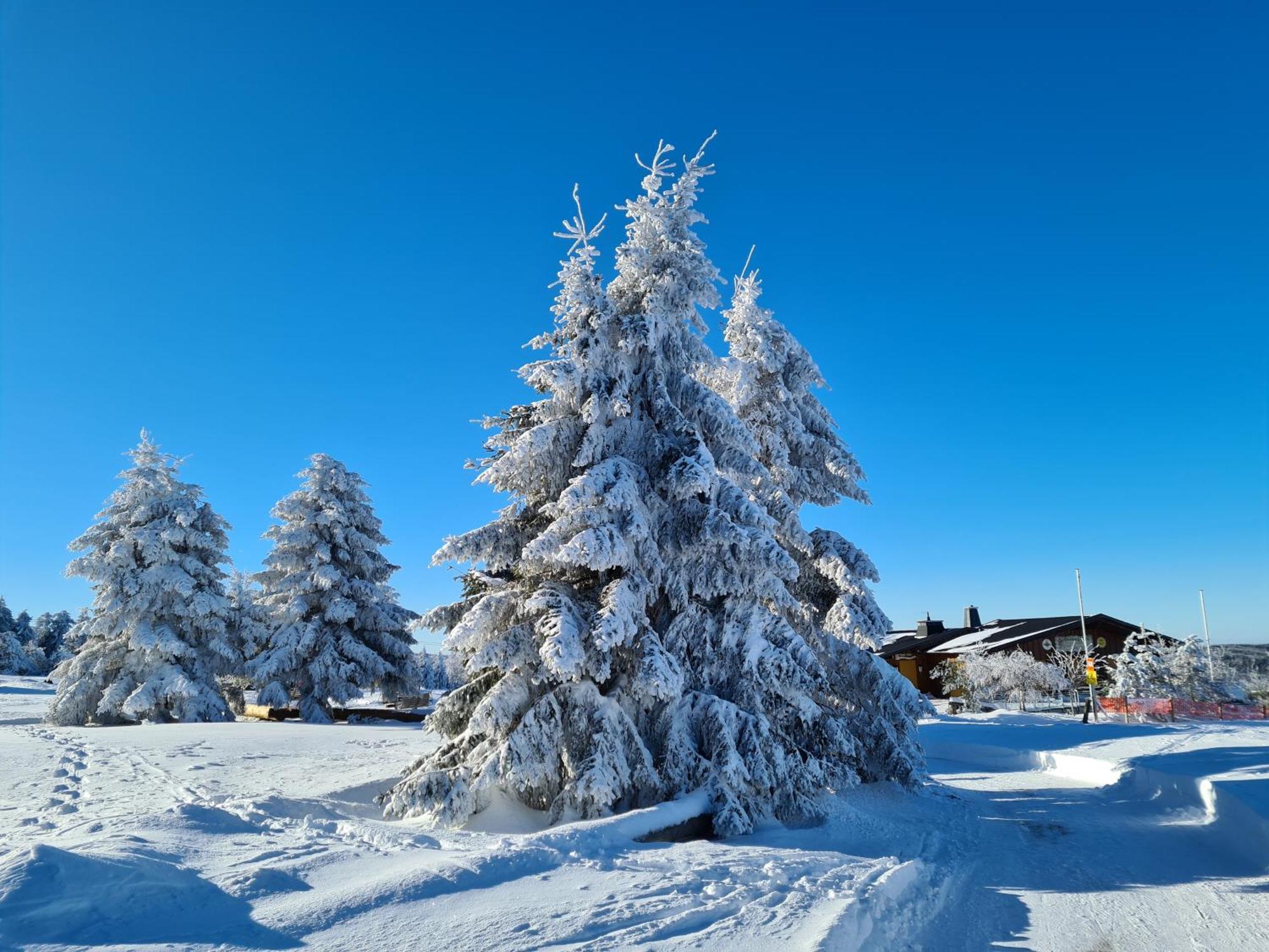 Hotel & Ferienappartements Edelweiss Willingen  Dış mekan fotoğraf